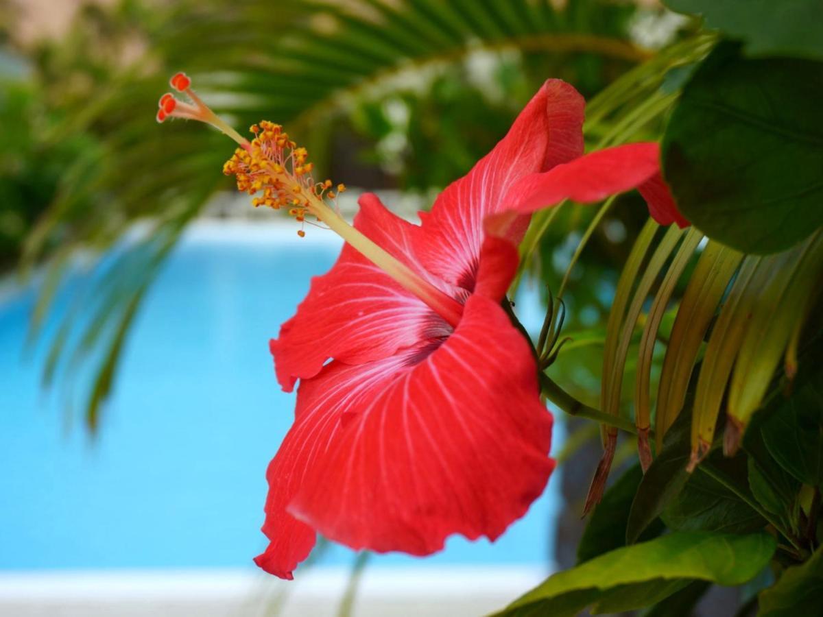 Hotel Palm Tree Hill Okinawa Zewnętrze zdjęcie